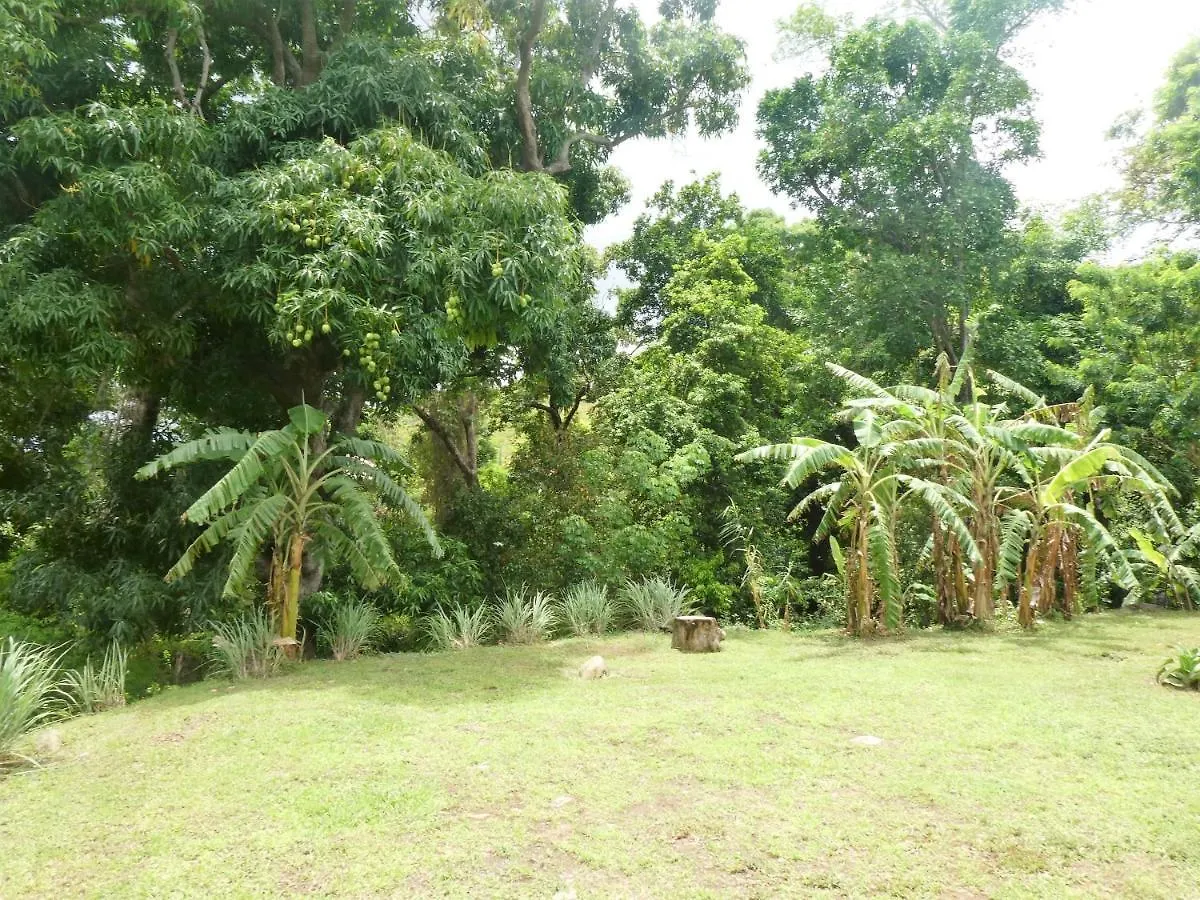 Sous Les Manguiers Villa Pointe-Noire