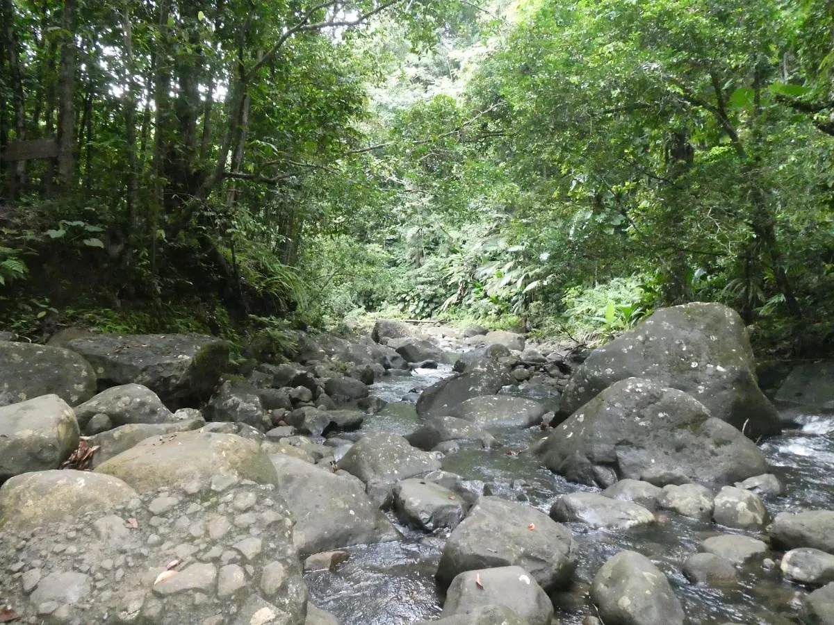 Sous Les Manguiers Villa Pointe-Noire